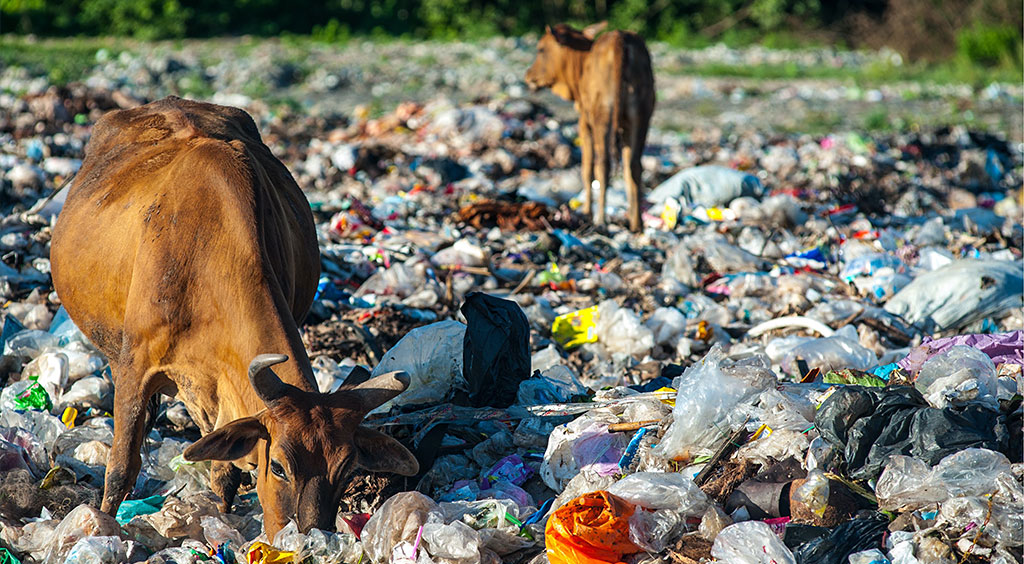 مضرات پلاستیک در طبیعت (خاک و مواد غذایی)